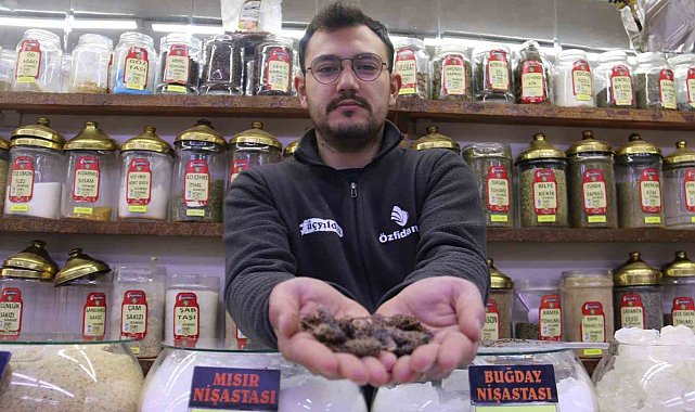 Ramazan'da sigara tiryakilerine çözüm yolu: Karabaş otu