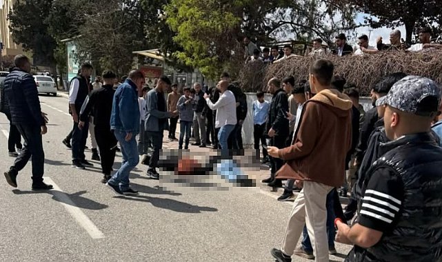 Şanlıurfa'da kardeşlere kanlı pusu: 2 ölü