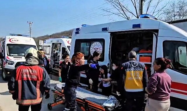 Sapanca'da minibüsle çarpışan otomobilin motoru 10 metre savruldu: 5'i çocuk 10 yaralı