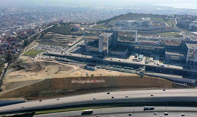 Şehir hastanesi bağlantı yoluna 200 Himalaya sediri dikildi