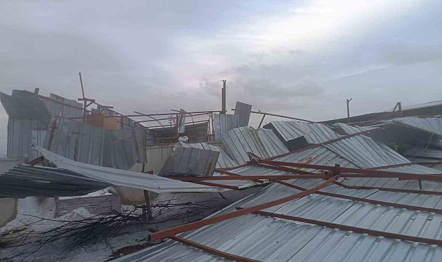 Şiddetli rüzgar mandıranın çatısını uçurdu