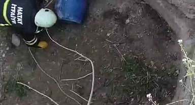 Su kuyusuna düşen oklu kirpiyi itfaiye kurtardı