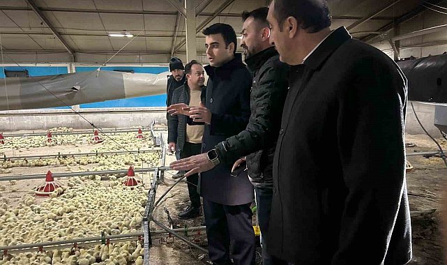 Tavuk çiftliğinde çıkan yangın söndürüldü