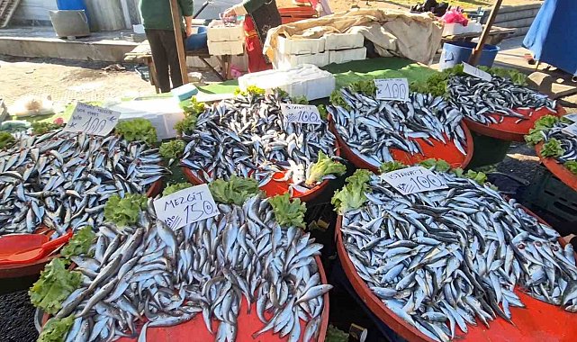 Tekirdağ'da hamsi ve istavritin kilosu 100 liradan satıldı