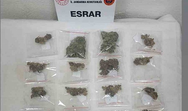 Tekirdağ'da jandarmadan uyuşturucu operasyonları