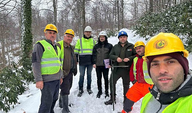 Türkeli'de sürdürülebilir orman üretimi için yeni adım