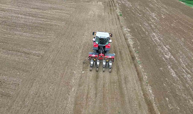 Türkiye'nin ayçiçeği ambarında ekim vakti