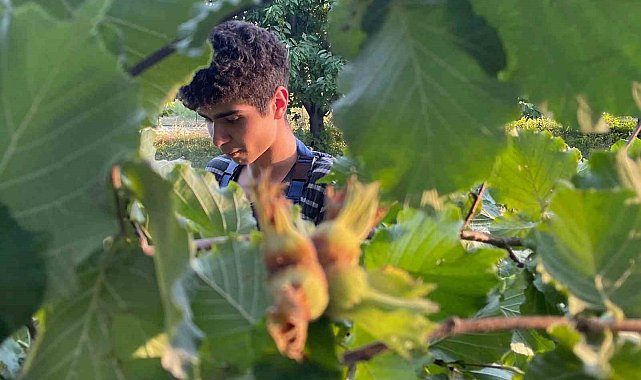 Türkiye'nin fındık ihracatının yarısı Almanya ve İtalya'ya yönelik yapıldı