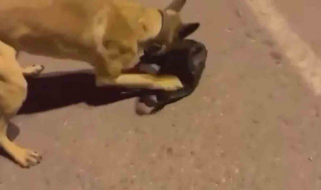 Uyuşturucu tacirleri ETA'dan kaçamadı