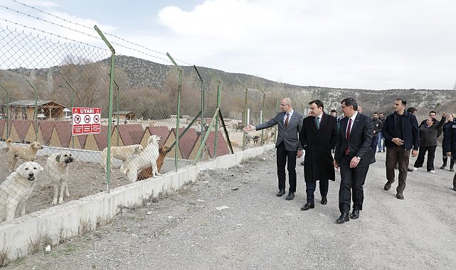 Vali Işın ve Başkan Kahveci sokak hayvanları için oluşturulan doğal yaşam alanını inceledi