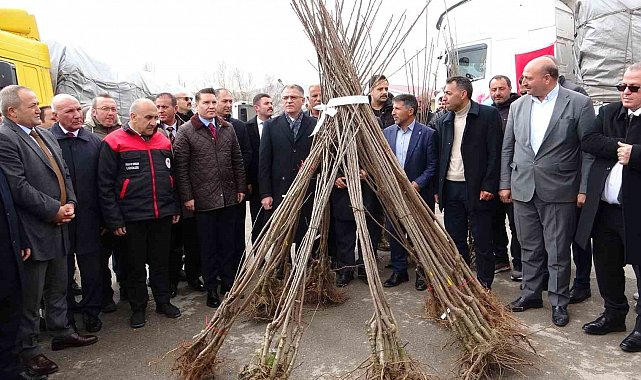 Van'da 640 bin adet fidan dağıtıldı
