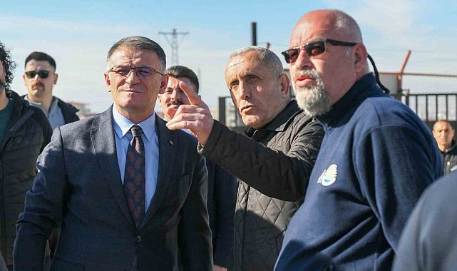 Van'da doğal yaşam alanı sahipsiz hayvanların evi oldu