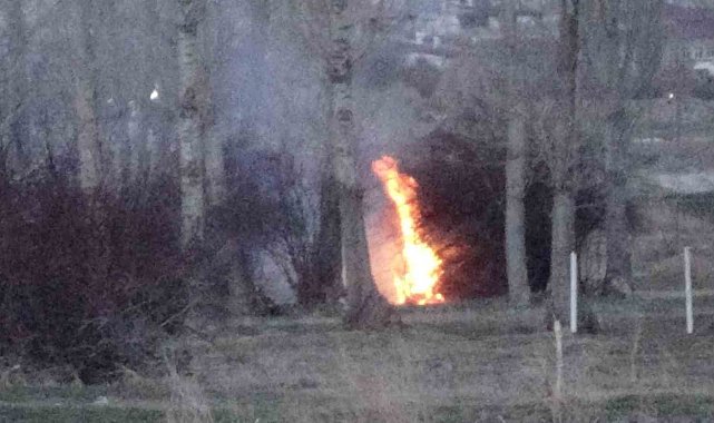 Van'da sazlık alanda yangın