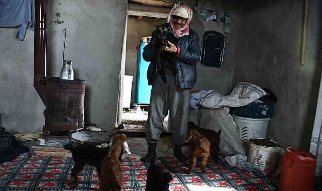 Vanlı besici, 9 yıldır Şırnak'taki Faraşin Yaylası'nda hayvanlarıyla yaşıyor