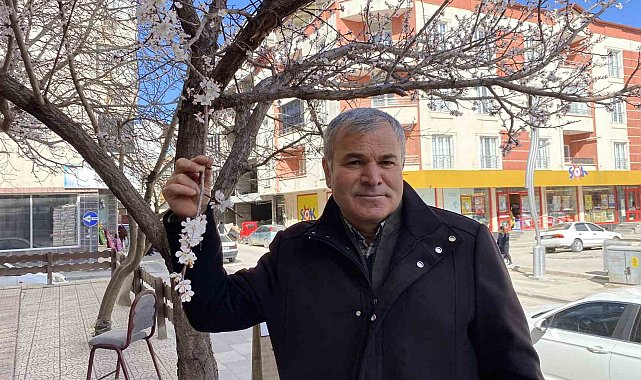 Yalancı bahar kayısı ağaçlarını erkenden çiçek açtırdı