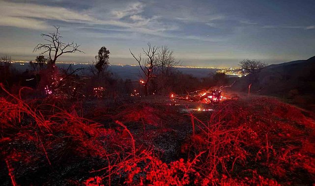 Yalova'daki orman yangını kontrol altına alındı