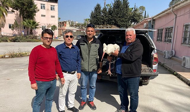 Yaralı leylek ormancılar tarafından kurtarıldı