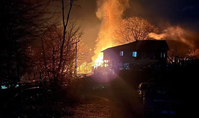 Yaşlı kadının tek başına yaşadığı ev yanarak kül oldu
