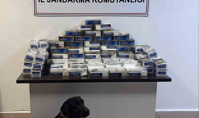 Yozgat'ta 20 bin adet makaron ele geçirildi