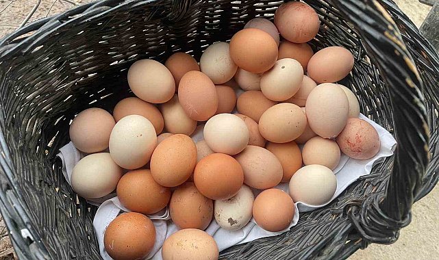 YUM-BİR: "Yumurta fiyatlarını ABD artırıyor"