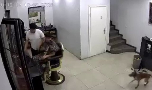 Zincirini koparan köpek kuaförde müşteriye ısırdı