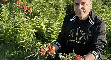 20 günlük ömrü olan ters lalelere zarar verildi