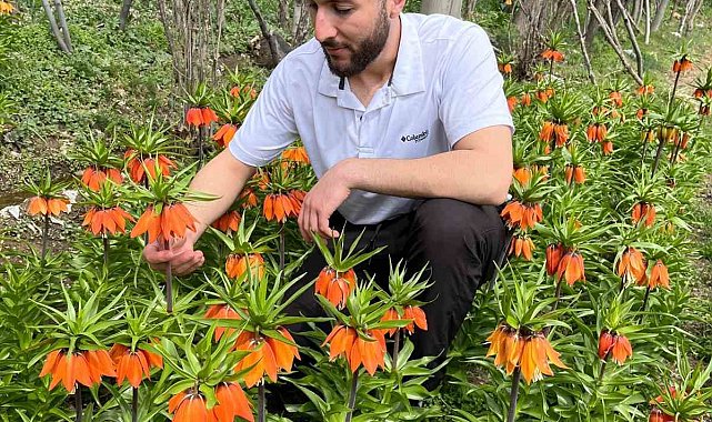 20 günlük ömrü var, zarar vermenin cezası 244 bin lira