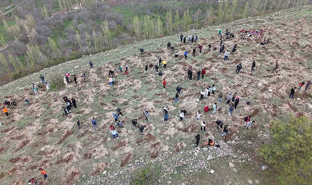 3 bin fidanı toprakla buluşturan büyükşehirden 'Gesi Ağaçlandırma Şenliği'