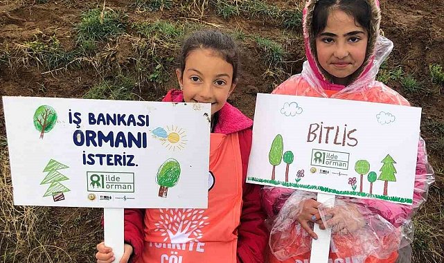 '81 İlde 81 Orman' projesi Bitlis'te