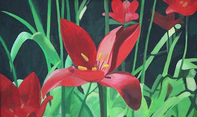 'Amasya çiçekleri' tablolarda açtı