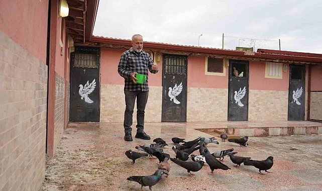 42 yıllık hobisi, profesyonel tesise dönüştü; 'güvercin apartı' kurdu
