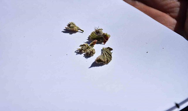 7 bin üreticiye bilgilendirme mesajı atıldı