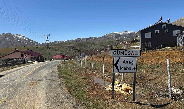 72 yaşındaki adamın ölümüne neden olan köpekler sahipli çıktı