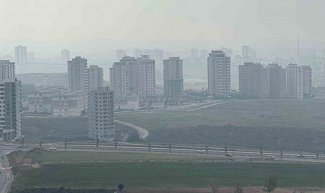 Adana'da sis etkili oldu