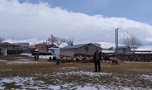 Adilcevaz'da besicilere kar sürprizi