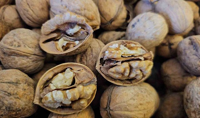 Adilcevaz'dan yurdun dört bir yanına ceviz fidanı