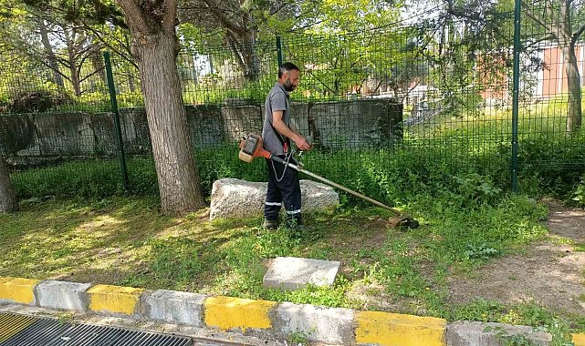 Afrodisias Antik Kenti'nde ilaçlama çalışması başlatıldı
