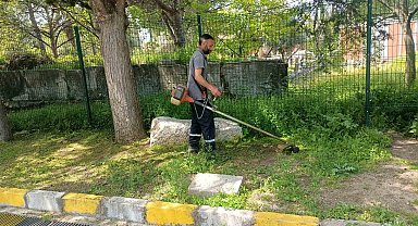 Afrodisias Antik Kenti'nde ilaçlama çalışması başlatıldı