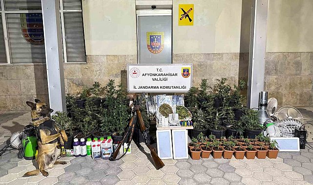 Afyonkarahisar'da jandarmadan uyuşturucu operasyonu