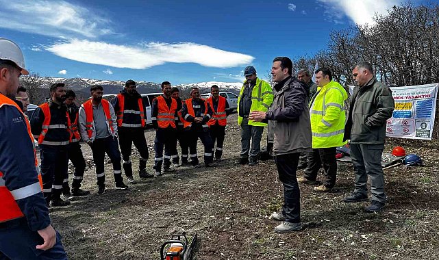 Ağaç budama çalışmaları güvenlik ve süreklilik için özenle yürütülüyor
