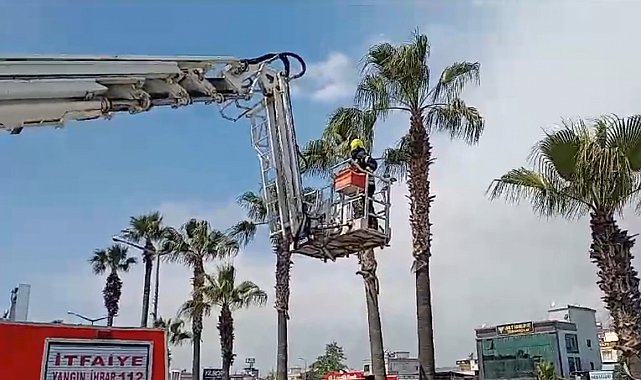 Ağaçta mahsur kalan kedi kurtarıldı