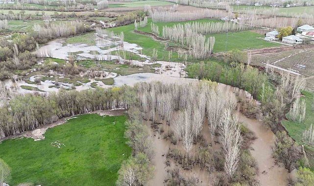 Ağrı'da dere taştı, tarım arazileri su altında kaldı