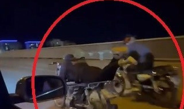 Akan trafikte motosikletin üzerinde ölümüne yolculuk