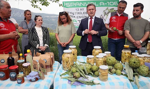 Akçapınar'da 'Hibrit Enginar Hasadı Tarla Günü' düzenlendi