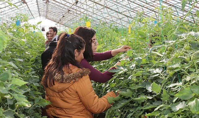Akdeniz Üniversitesi öğrencilerinin 207 projesi TÜBİTAK tarafından desteklenecek