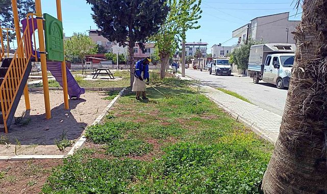 Akdeniz'in yeşil dokusu koruma altında
