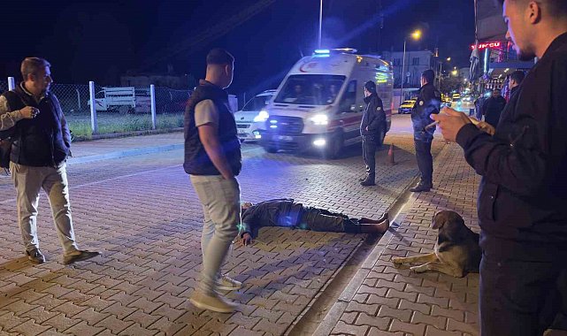 Alkol komasına giren vatandaşı sokak köpeği yalnız bırakmadı