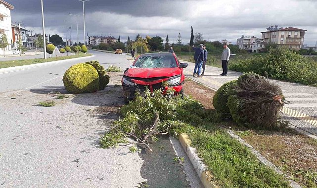 Alkollü sürücü kaldırımdaki ağaçlara çarptı: Devrilen ağaç Rus kadının yaralanmasına neden oldu