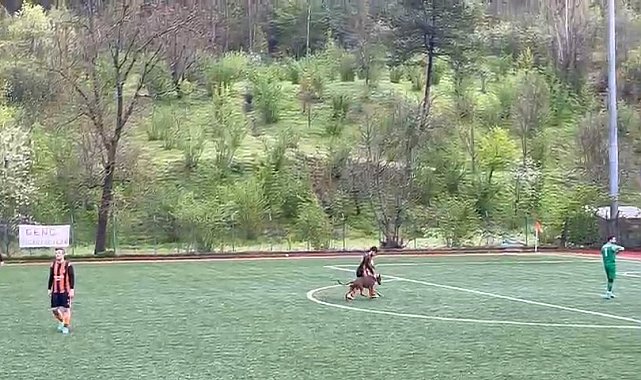 Amatör maçta sahaya köpek girdi