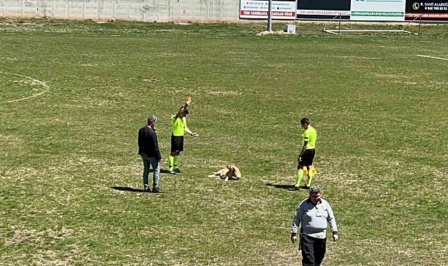 Amatör müsabakada sahaya giren köpeğe kırmızı kart